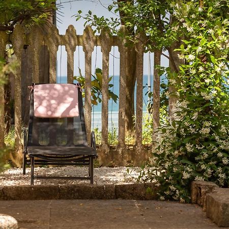 Casa Parenzana Apartment Porec Bagian luar foto
